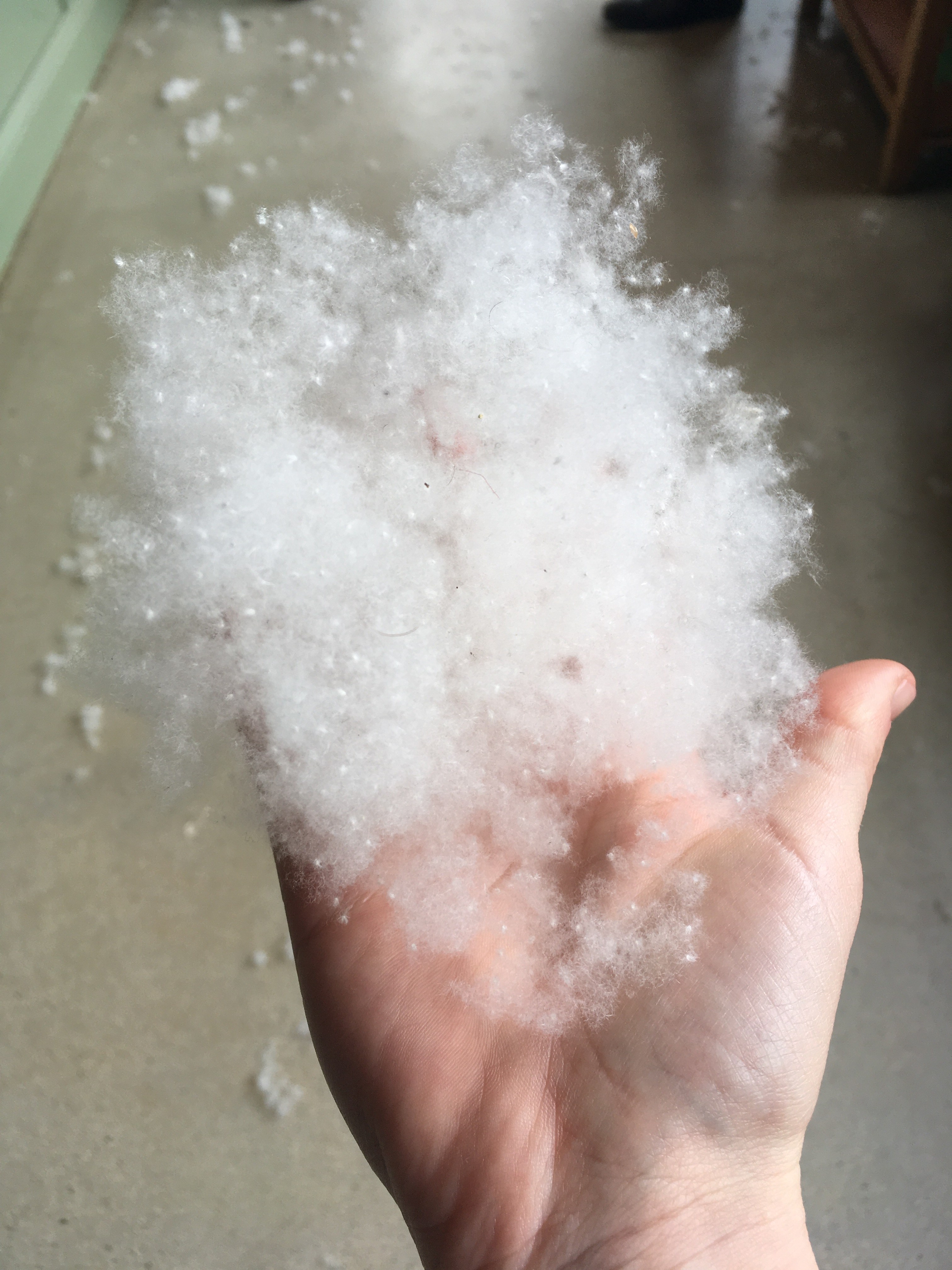 What The Fluff? ANU Fenner School of Environment & Society